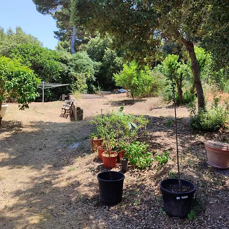 Willa Maison Presqu'ile De Giens