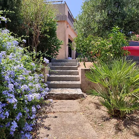 Maison Presqu'ile De Giens 别墅